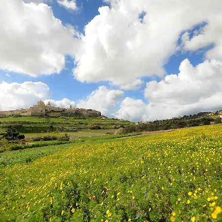 The Westin Dragonara Resort, Malta Hotel Saint Julian's
